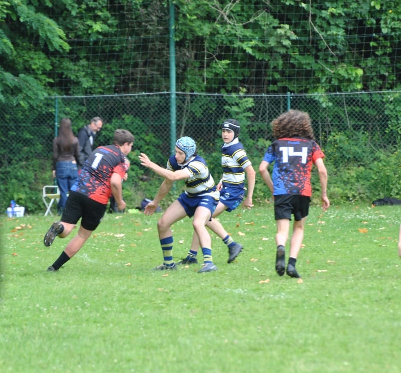 IMG-20250609-WA0030